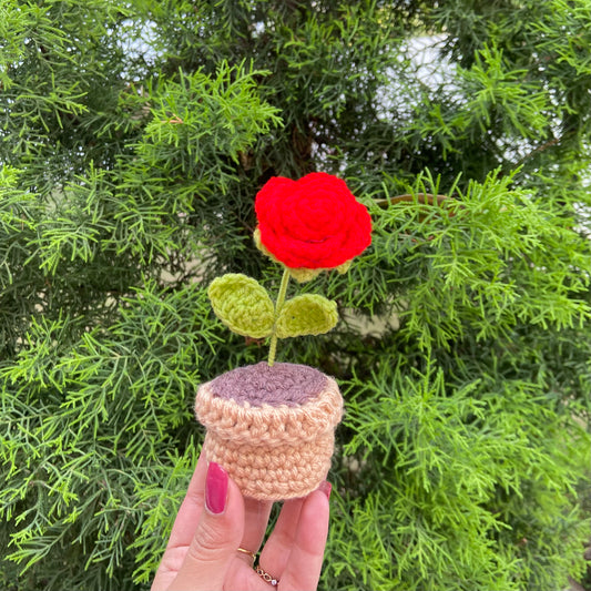 Everlasting Rose Pot