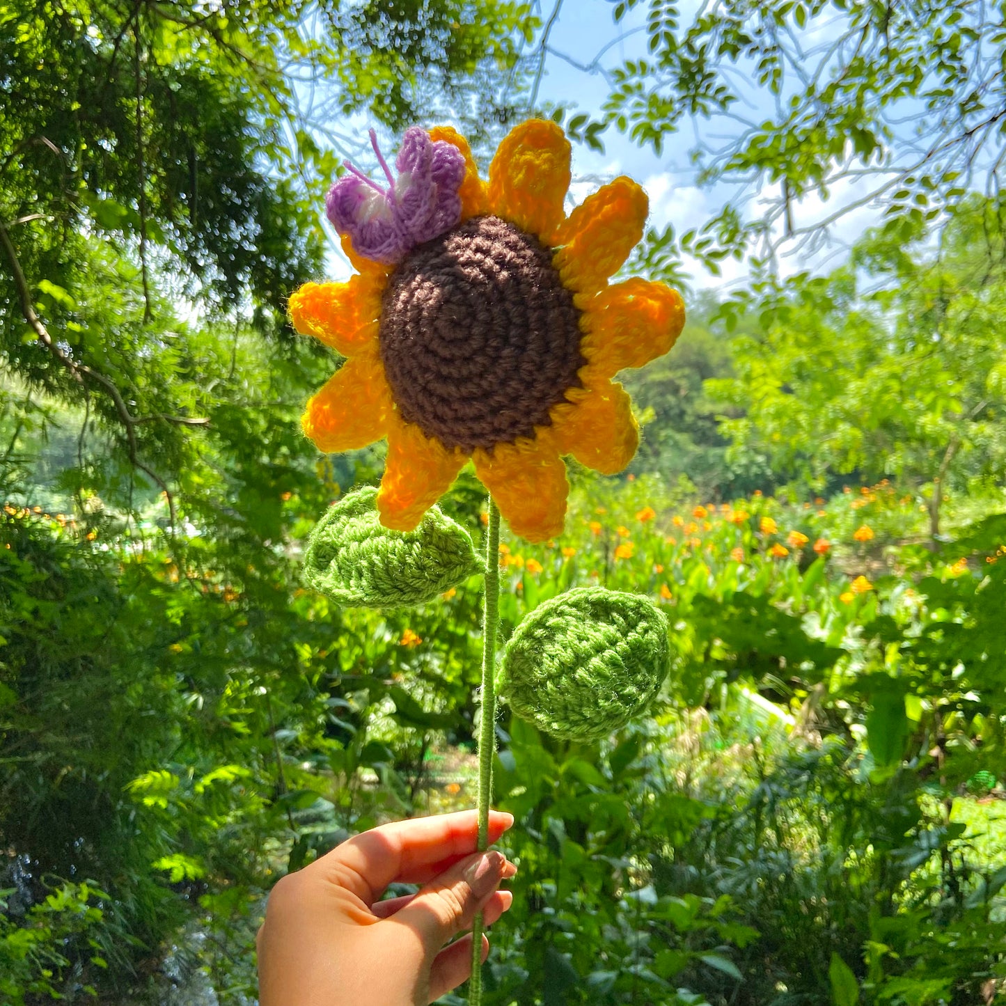 Sunflower with Butterfly