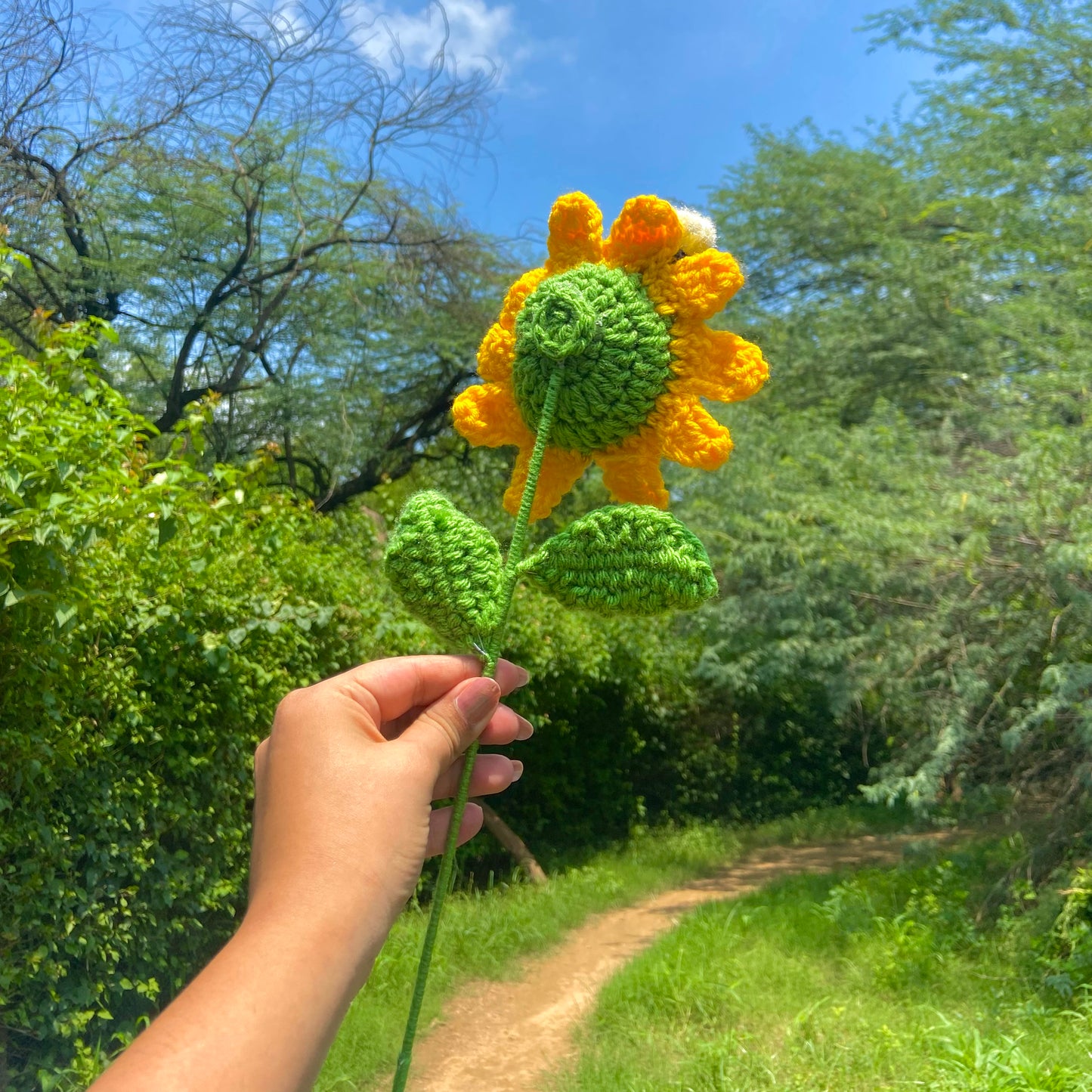 Sunflower with Bee