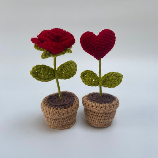 Rose and Heart Pot combo