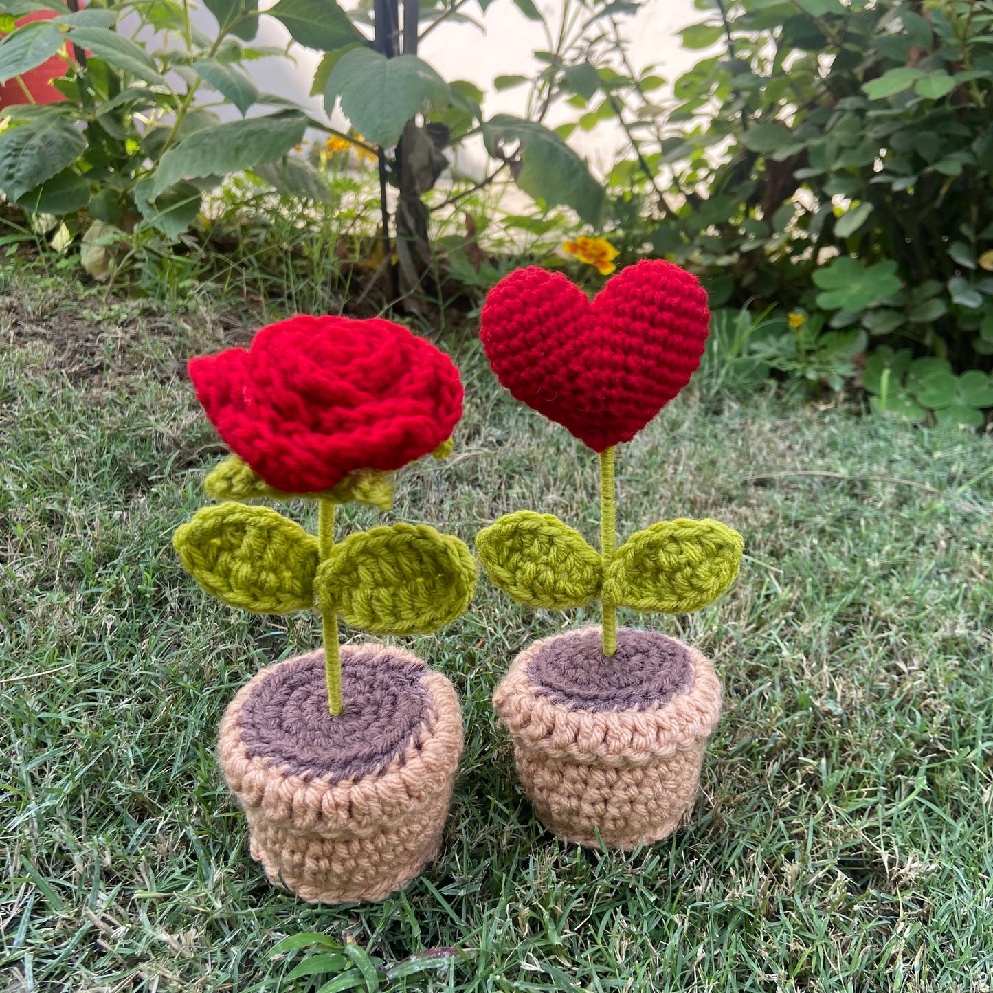 Rose and Heart Pot combo