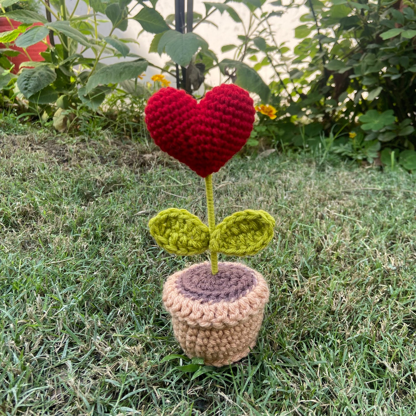 Heart Pot