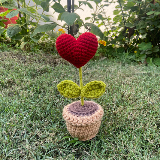 Heart Pot