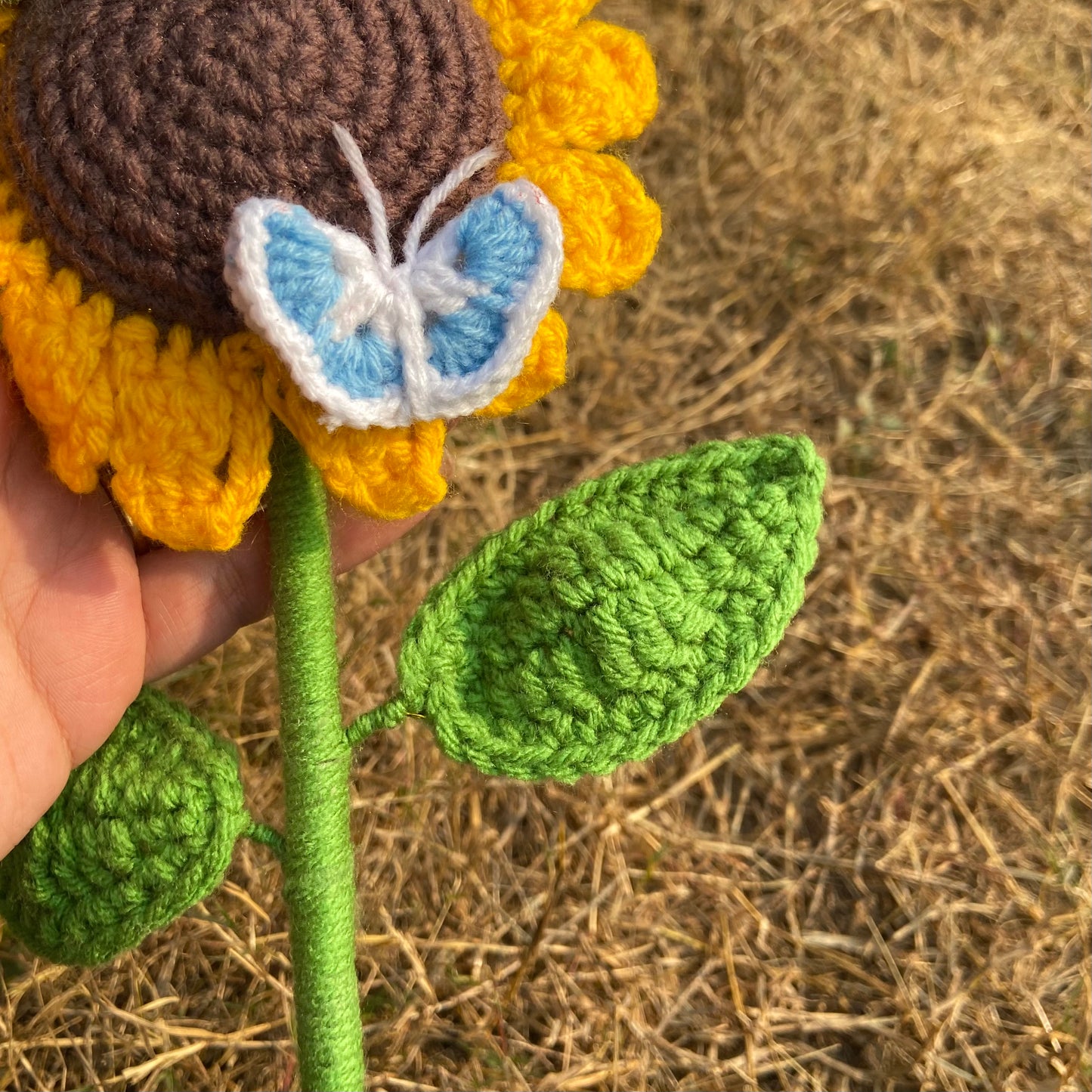 Sunflower with Butterfly