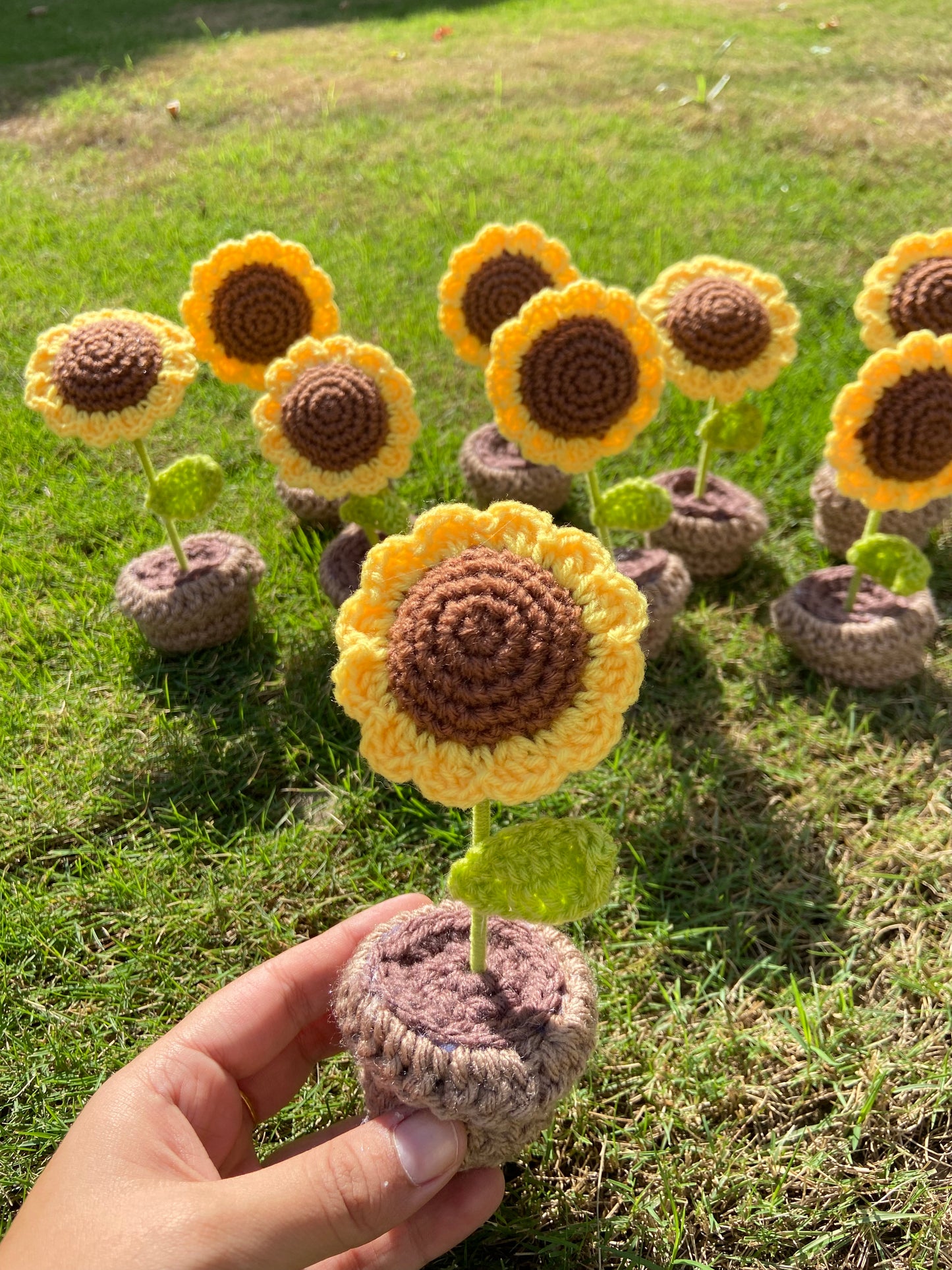 Sunflower Pot