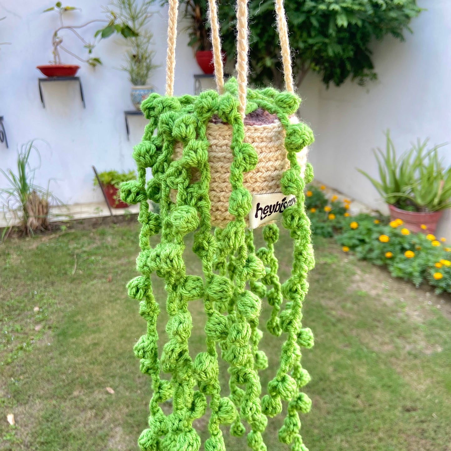 Hanging String of pearls