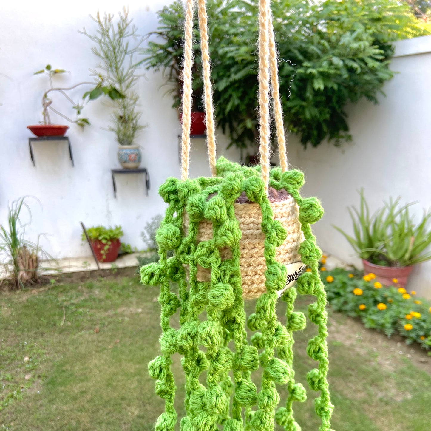 Hanging String of pearls